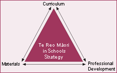 Te Reo Māori in School Strategy pyramid. 