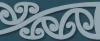 Te Reo Māori in Schools Advisers. 