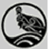 Te Wananga image. 
